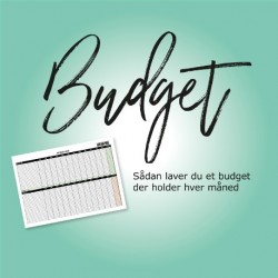 Budget - online kursus
