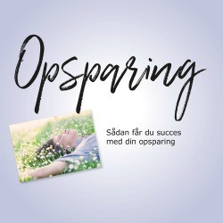 Opsparing - online kursus