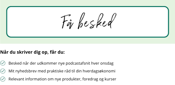 Kend_Dine_Penge_ejer_Carina_Svendsen